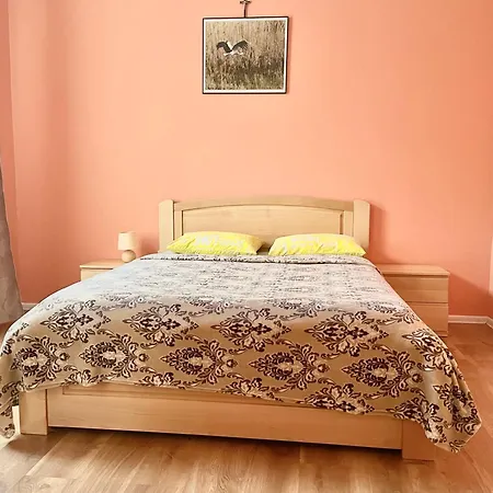 двохкімнатні сімейні в історичному центрі Apartment *